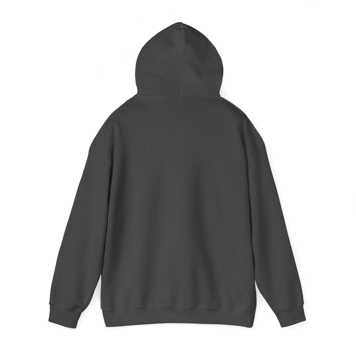 AQUA NIOR Unisex Heavy Blend™ Hooded Sweatshirt