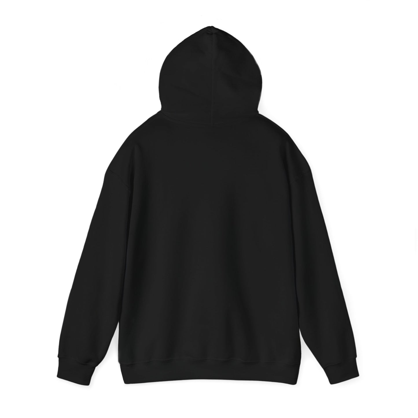 AQUA NIOR Unisex Heavy Blend™ Hooded Sweatshirt