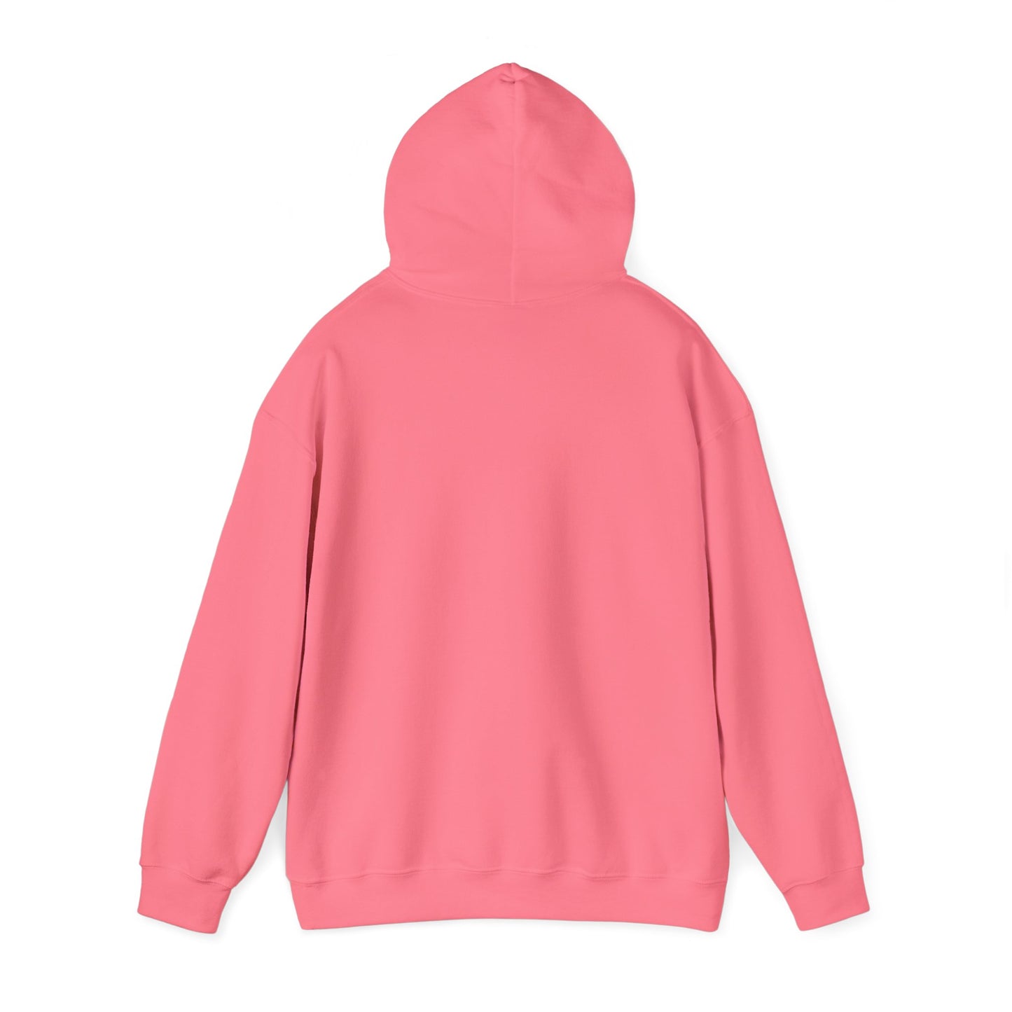 AQUA NIOR Unisex Heavy Blend™ Hooded Sweatshirt