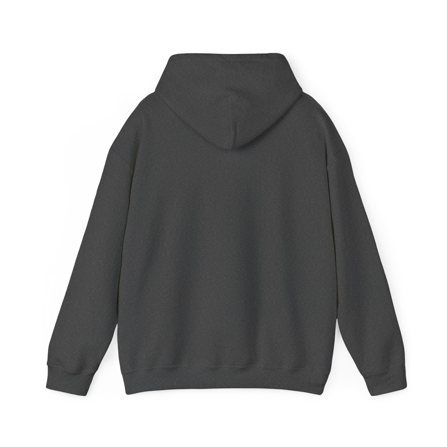 AQUA NIOR Unisex Heavy Blend™ Hooded Sweatshirt